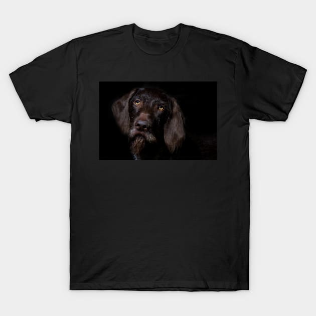 German Wirehaired Pointer Portrait T-Shirt by heidiannemorris